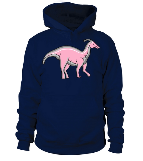 Demigirl Dinosaur In Space Demigirl Pride Men's Hoodie