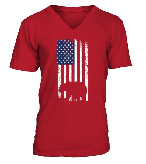 Grizzly bear american flag Men's V-Neck T-shirt