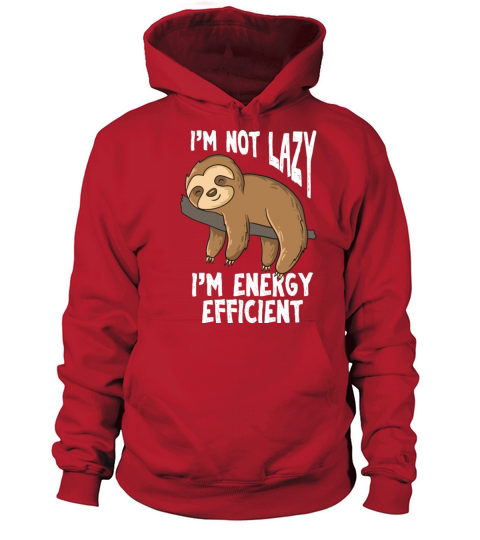 Sloths Are Not Lazy Funny Sloths Women's Hoodie