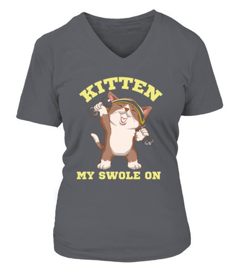 Workout Kitten My Swole On Dumbbell Cat Sport Gift Women's V-Neck T-shirt