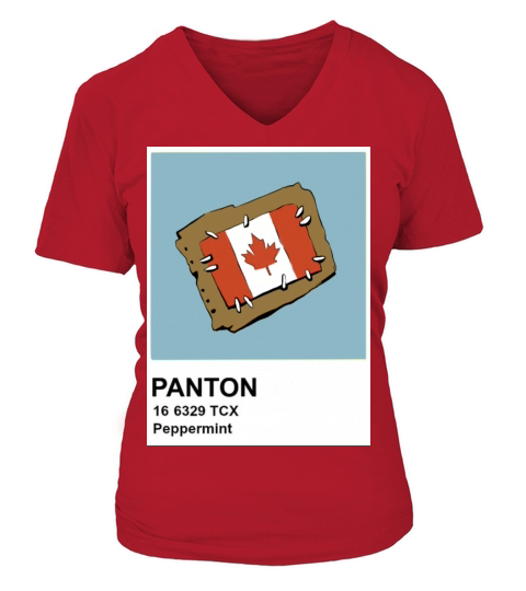 Canada Flag Instax Women's V-Neck T-shirt