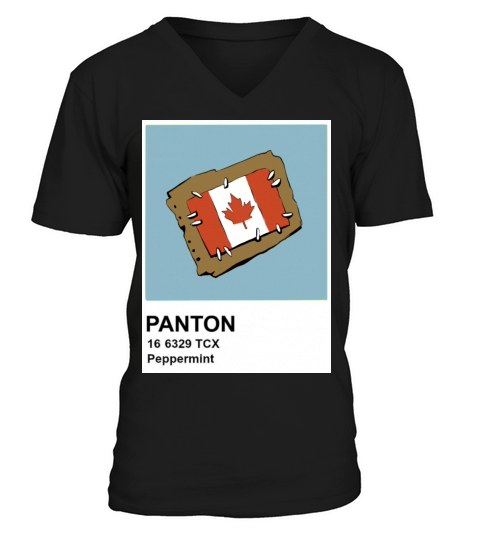 Canada Flag Instax Men's V-Neck T-shirt