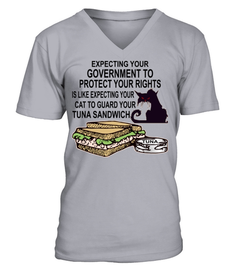 Expecting Govt To Protect Your Rights Is Like Men's V-Neck T-shirt