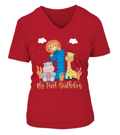 Birthday Baby - 1st Birthday Women's V-Neck T-shirt