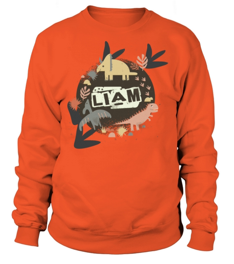 Liam - Cool boys name with cute dinosaurs Women's Sweatshirt