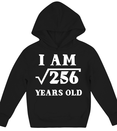 16th birthday Kids Hoodie