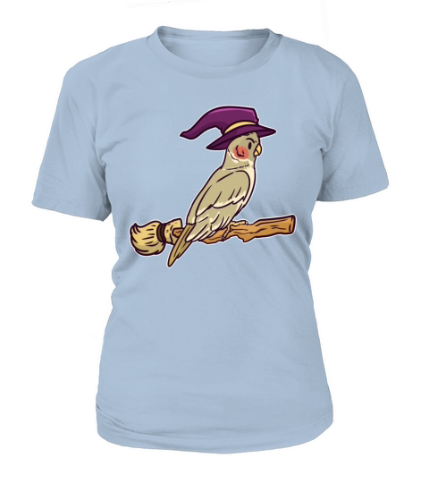 Witch costume horror Halloween witches broom Women's T-Shirt