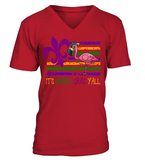 its mardi grass yall Funny Flamingo madi gras V-Neck T-shirt