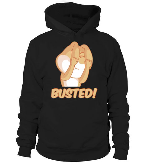 Busted rabbit Men's Hoodie
