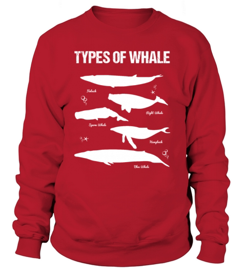whale Women's Sweatshirt