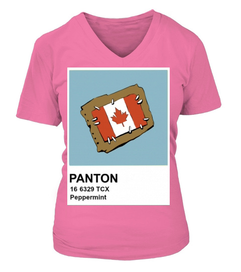 Canada Flag Instax Women's V-Neck T-shirt