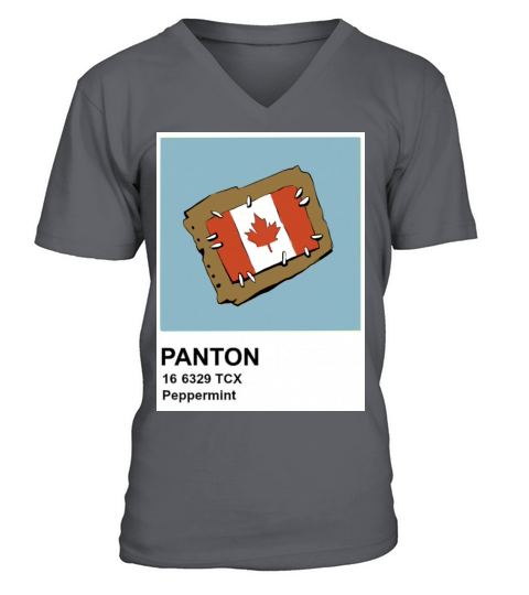 Canada Flag Instax Men's V-Neck T-shirt