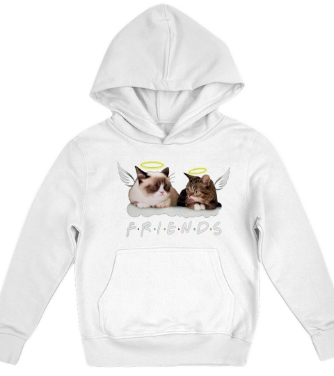 Rip Lil Bub Grumpy Friends shirt Kids Hoodie