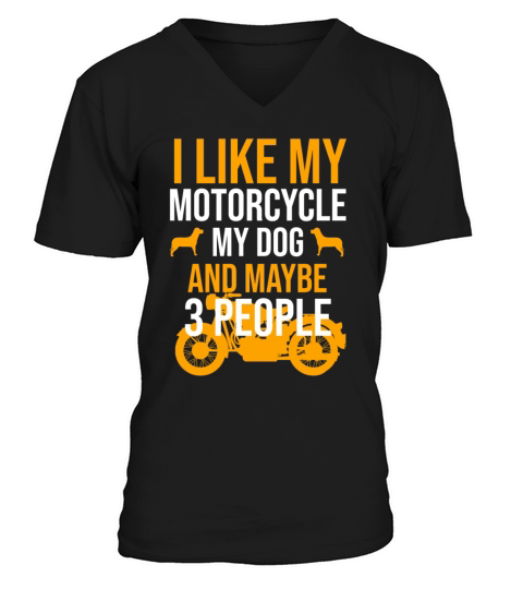 I like my motorcycle my dog and maybe 3 people Men's V-Neck T-shirt