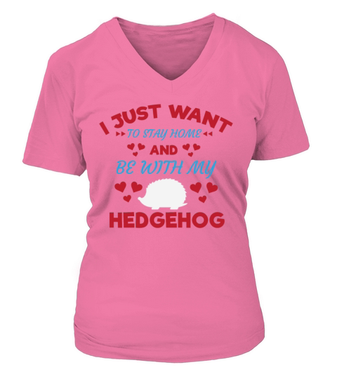I Just Want to Stay and Be With My Hedgehog Shirt Women's V-Neck T-shirt
