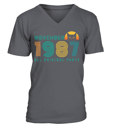 Born In November 1987 Cat Vintage Men's V-Neck T-shirt