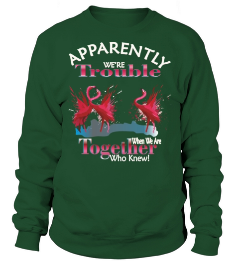 Flamingo Apparently Trouble When We Are Together Sweatshirt Unisex